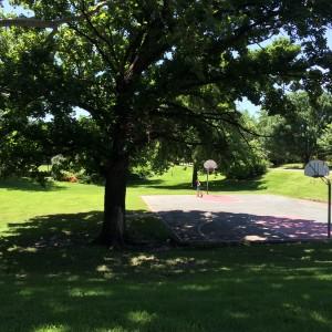 In the shade of a tree at Watson park