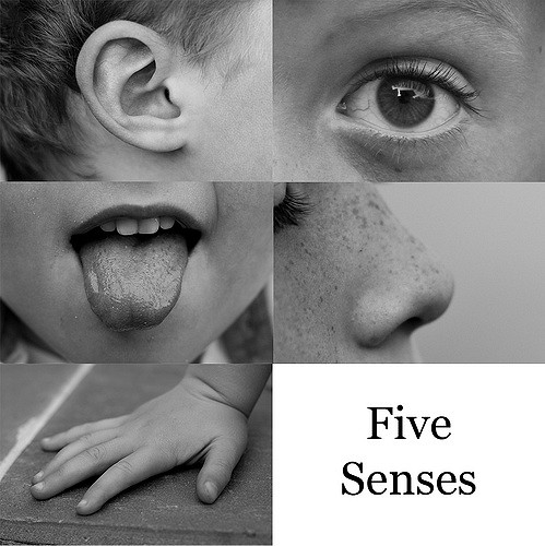 Use the Five Senses in your writing