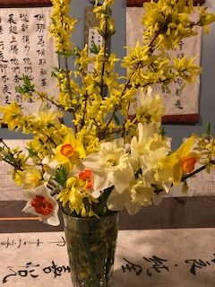 forsythia