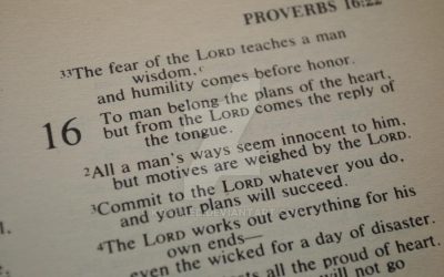 Take the 31-Day Proverbs Challenge