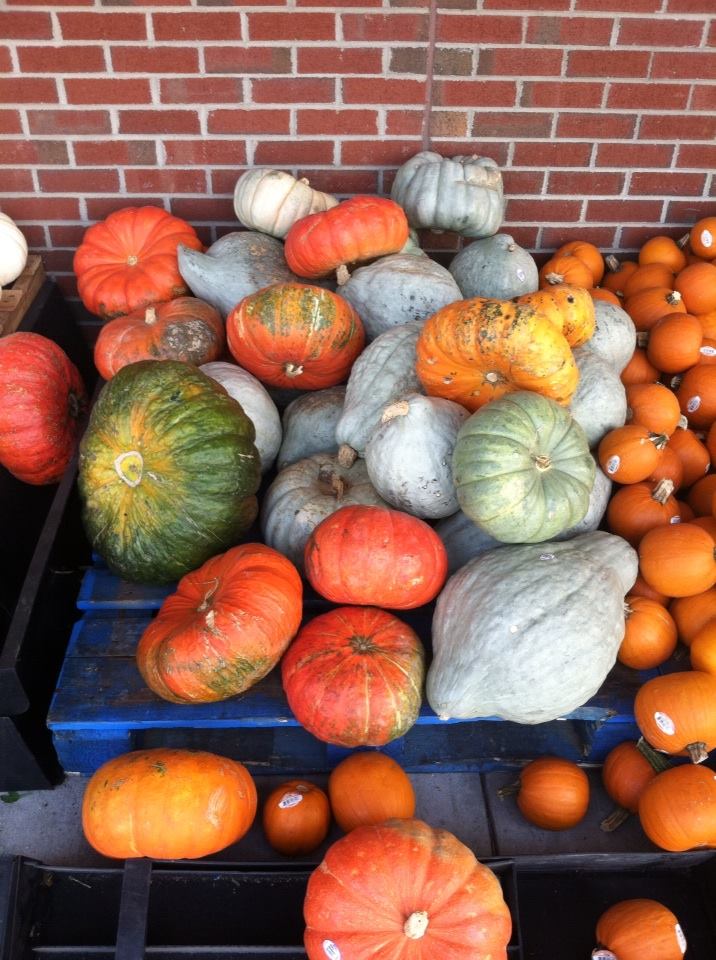 Pumpkins and Gourds