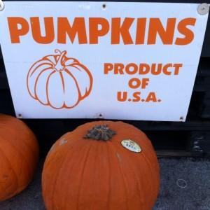 Pumpkins for sale