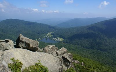 Episode 5 – Interview with Tiger and Lisa, Taiwanese visitors speaking of their first visit to the USA