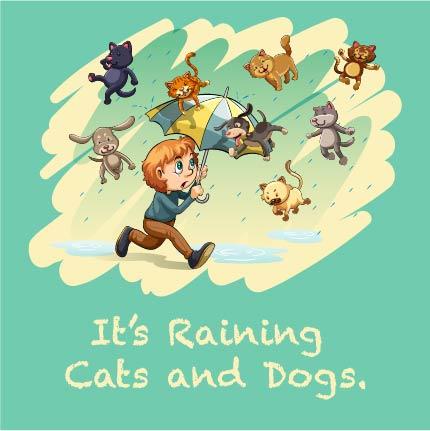 rainingcatsanddogs